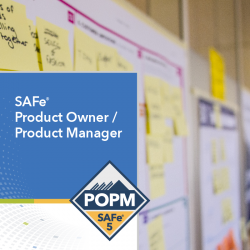 SAFe Product Owner /...